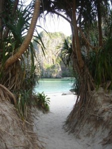 f75bd3a91a8a53348a52857fda27a95d